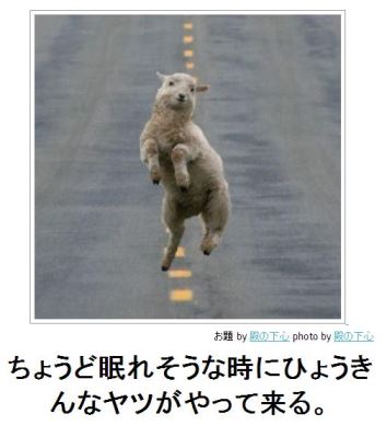 寝付けない時どうしていますか？