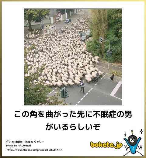 寝付けない時どうしていますか？