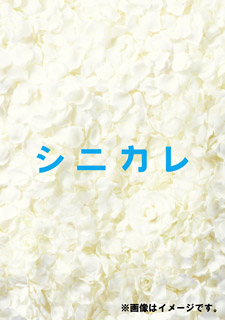 見てはいたけど駄作だったドラマ