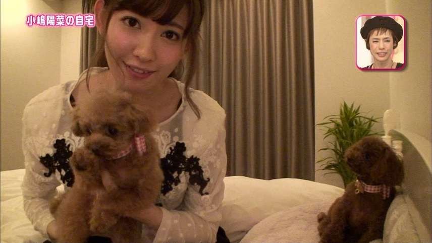 AKB大島優子、マンション最上階に住んでるらしい…