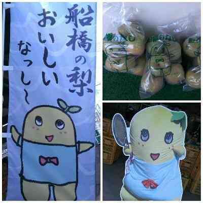 ふなっしーの展覧会、地元ららぽーとで開催