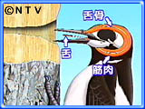 皆さんの知っている中で1番スゴイと思う雑学を教えてください