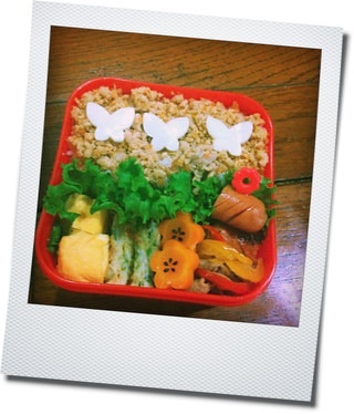 お弁当作りのコツ教えてください