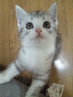 かわいさに癒されたいときに！キューンとなる動物たちの写真23枚