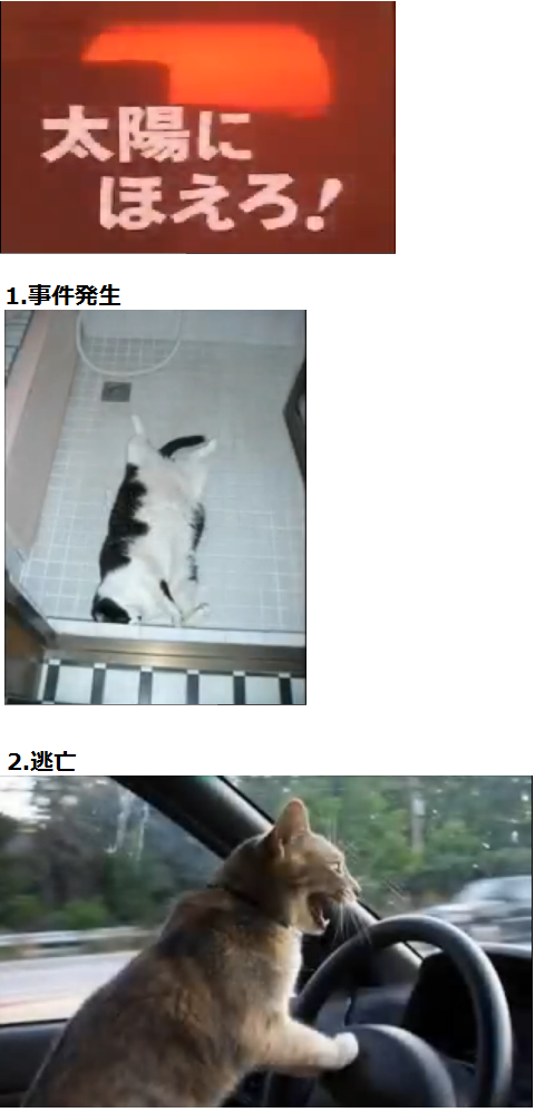 うちの猫が何か変だぞ!