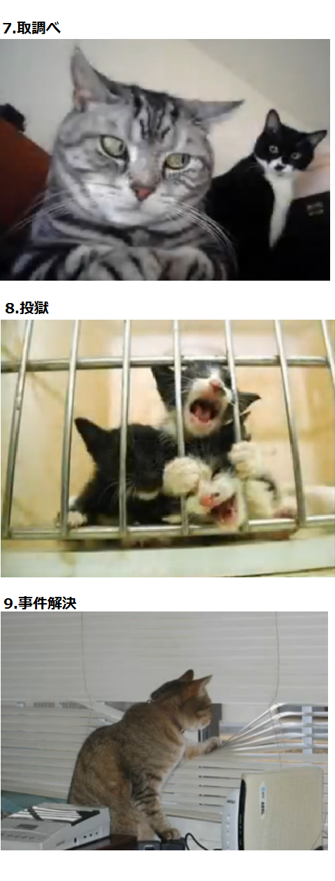 うちの猫が何か変だぞ!