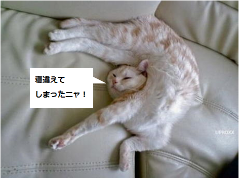 うちの猫が何か変だぞ!