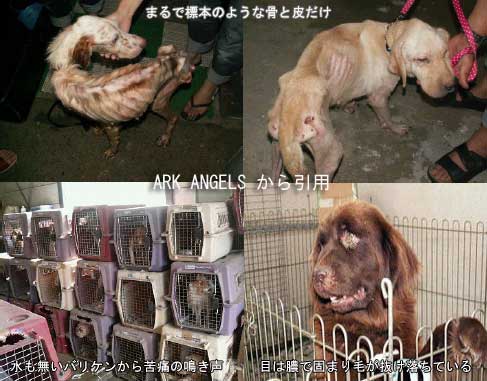 ゴミ箱に犬を投げ入れ逃走