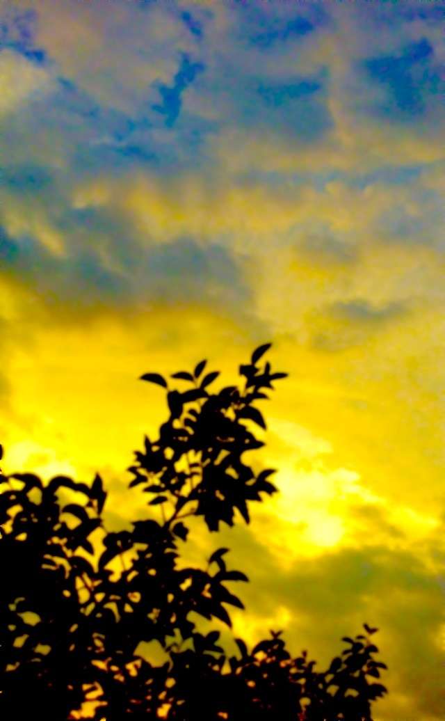 綺麗な空の画像