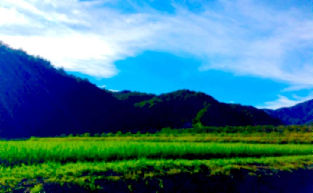 綺麗な空の画像