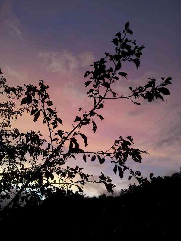 綺麗な空の画像