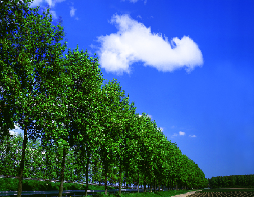 綺麗な空の画像