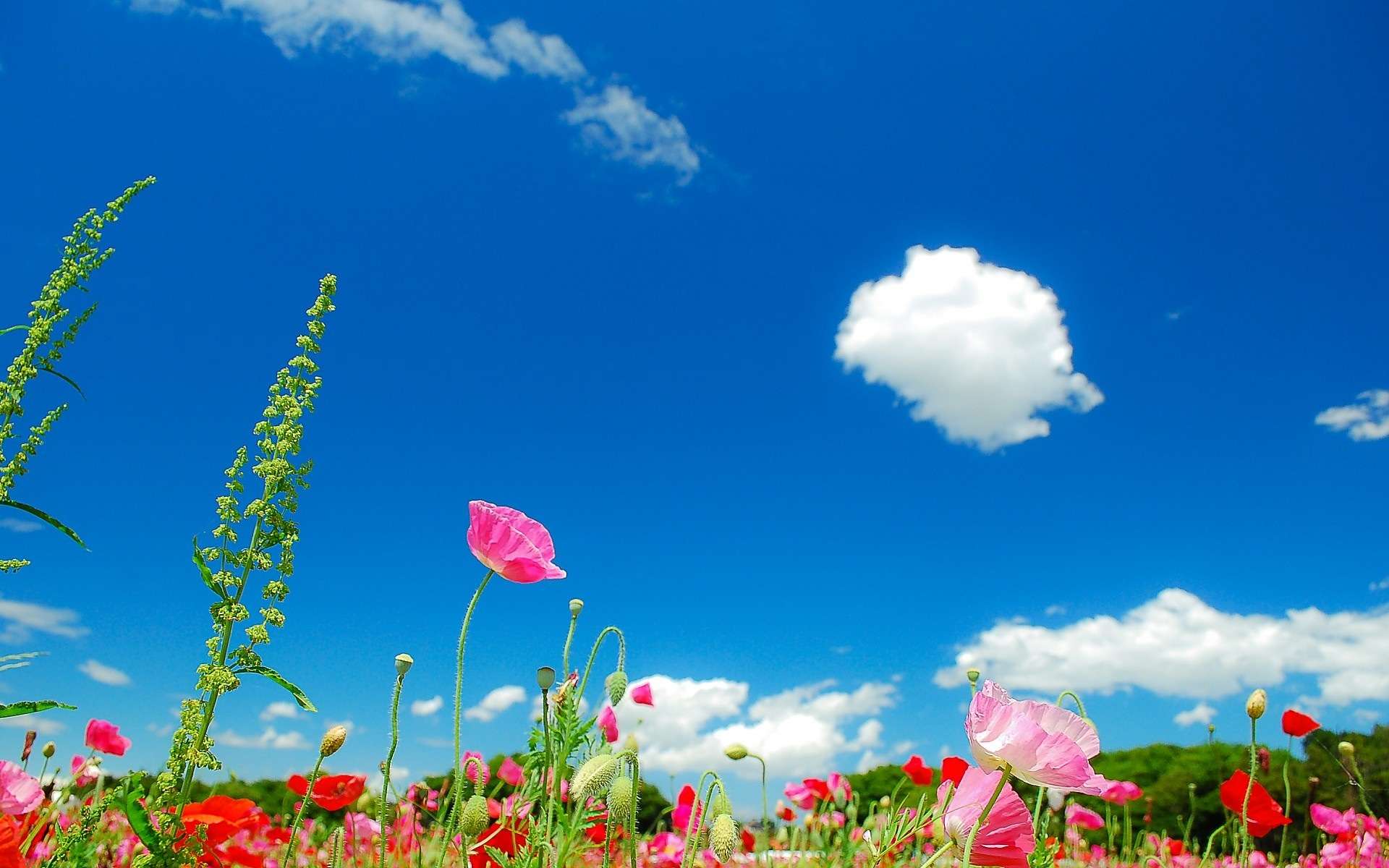 綺麗な空の画像