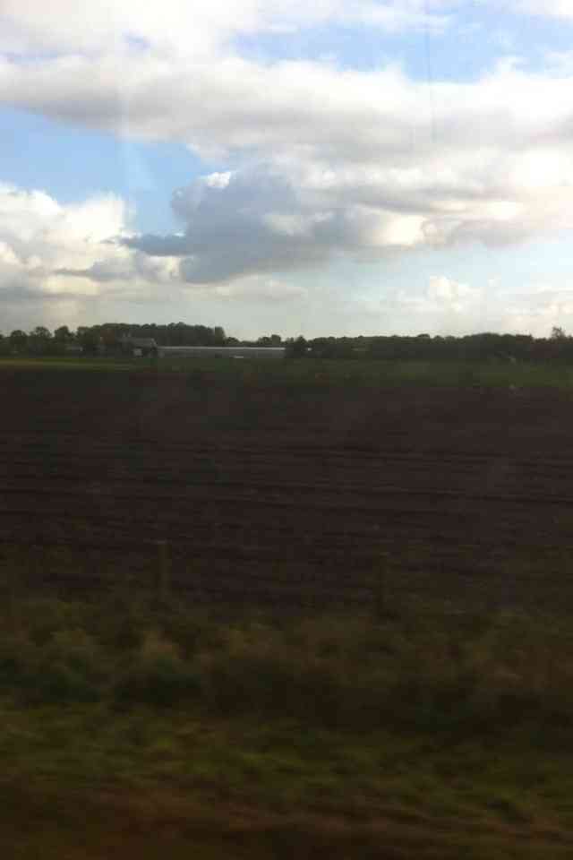 綺麗な空の画像