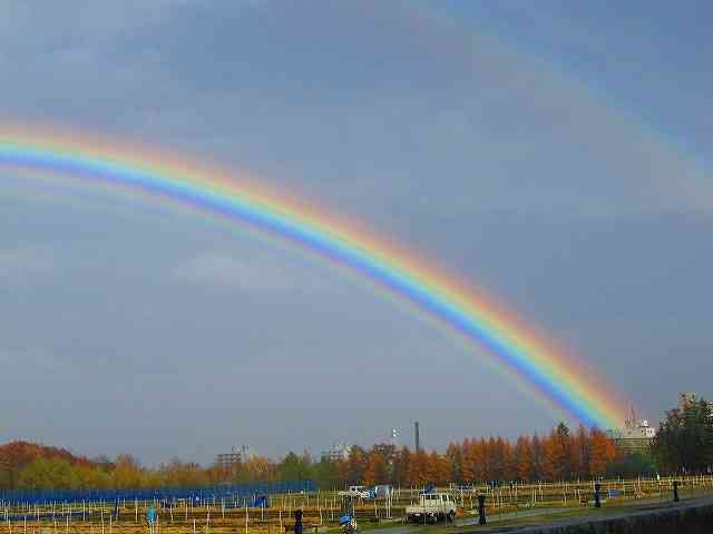 綺麗な空の画像