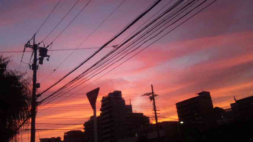 綺麗な空の画像