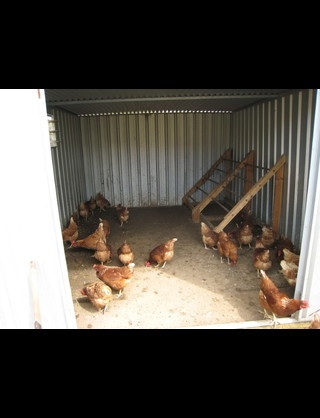 この県にうまれて良かったと思ったこと、イヤだなと思ったことは？