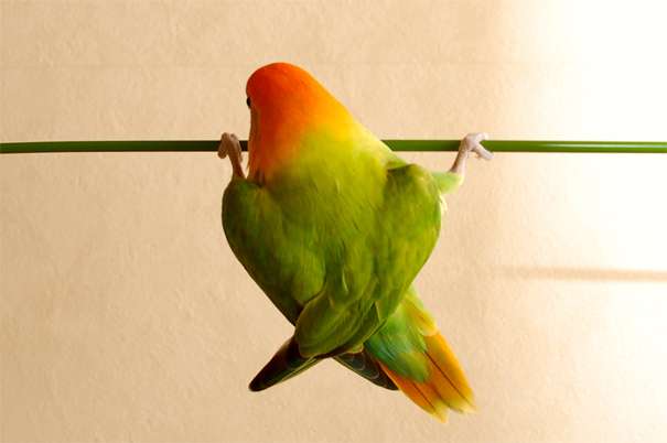 辻希美、親バカ全開「いつか娘をオリンピックに出したい」