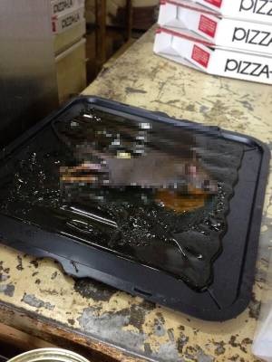 ピザー◯店員、ピザ箱の横でトラップにかかったネズミの死体画像公開→大炎上