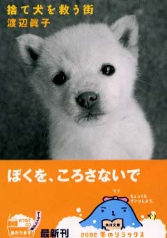 9月1日から改正動物愛護管理法が施行されました。ペットを遺棄すると最高100万円の罰金刑になります