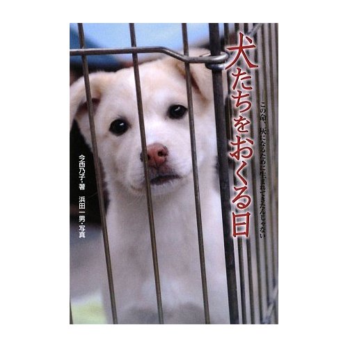 9月1日から改正動物愛護管理法が施行されました。ペットを遺棄すると最高100万円の罰金刑になります