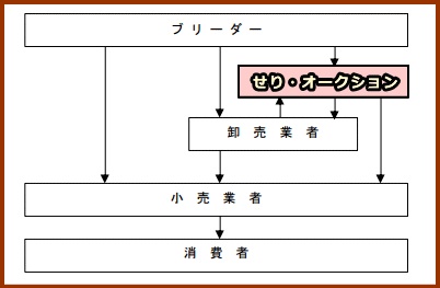 9月1日から改正動物愛護管理法が施行されました。ペットを遺棄すると最高100万円の罰金刑になります