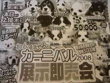 9月1日から改正動物愛護管理法が施行されました。ペットを遺棄すると最高100万円の罰金刑になります
