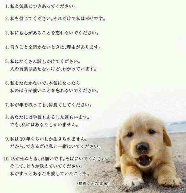 9月1日から改正動物愛護管理法が施行されました。ペットを遺棄すると最高100万円の罰金刑になります