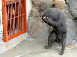 人には言えない情けない事