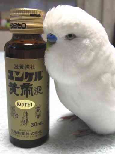 電車で何まで食べていい？