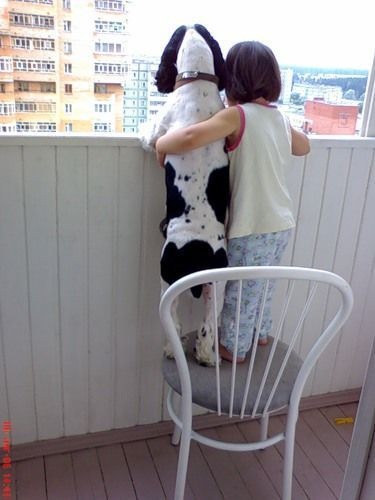 あなたのお気に入りの画像貼ってください！