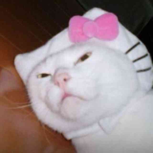 あなたのお気に入りの画像貼ってください！