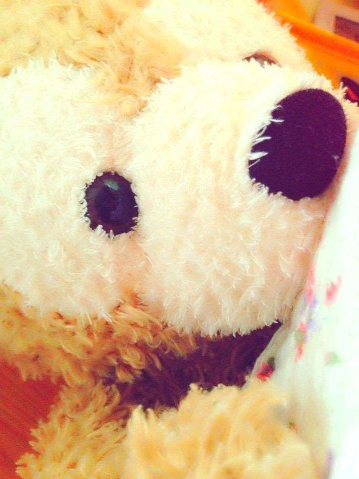 あなたのお気に入りの画像貼ってください！