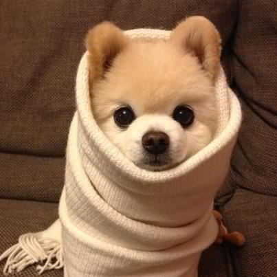 あなたのお気に入りの画像貼ってください！