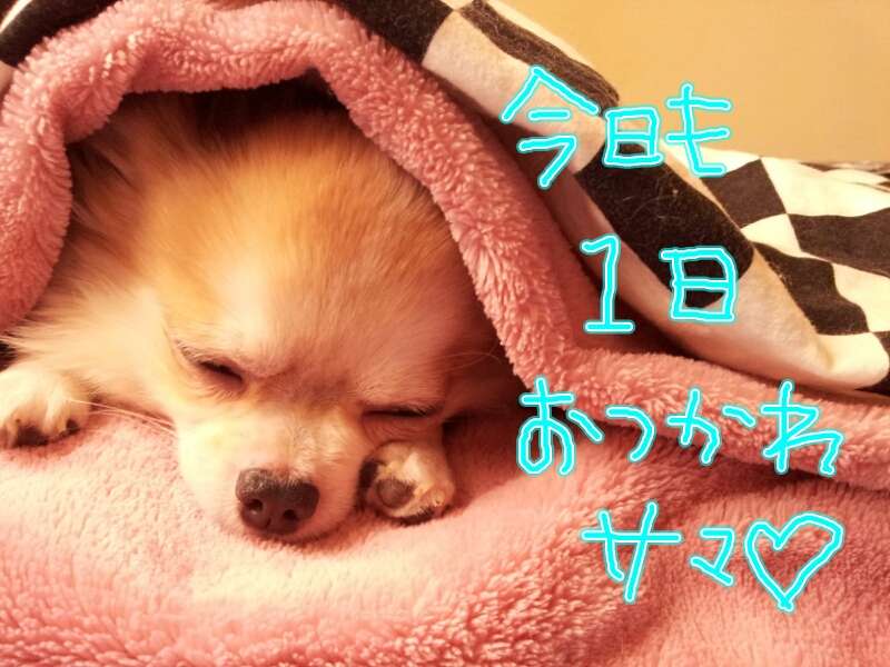あなたのお気に入りの画像貼ってください！
