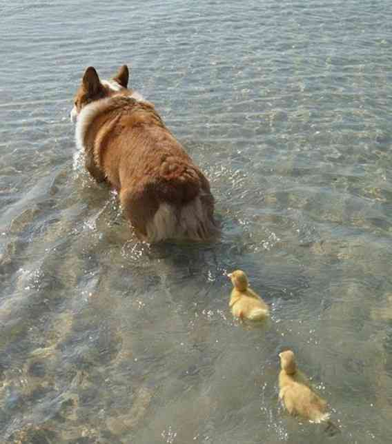 あなたのお気に入りの画像貼ってください！