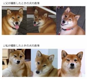 あなたのお気に入りの画像貼ってください！