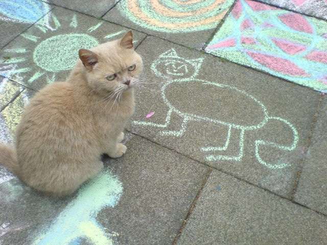 あなたのお気に入りの画像貼ってください！