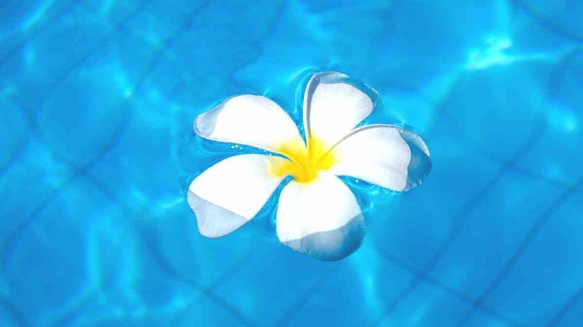あなたのお気に入りの画像貼ってください！