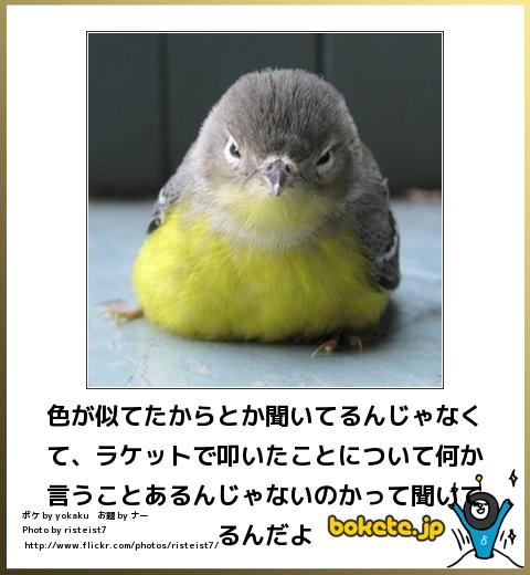 あなたのお気に入りの画像貼ってください！