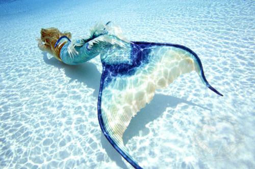 あなたのお気に入りの画像貼ってください！