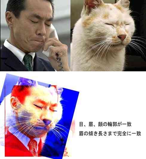 あなたのお気に入りの画像貼ってください！