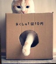 あなたのお気に入りの画像貼ってください！