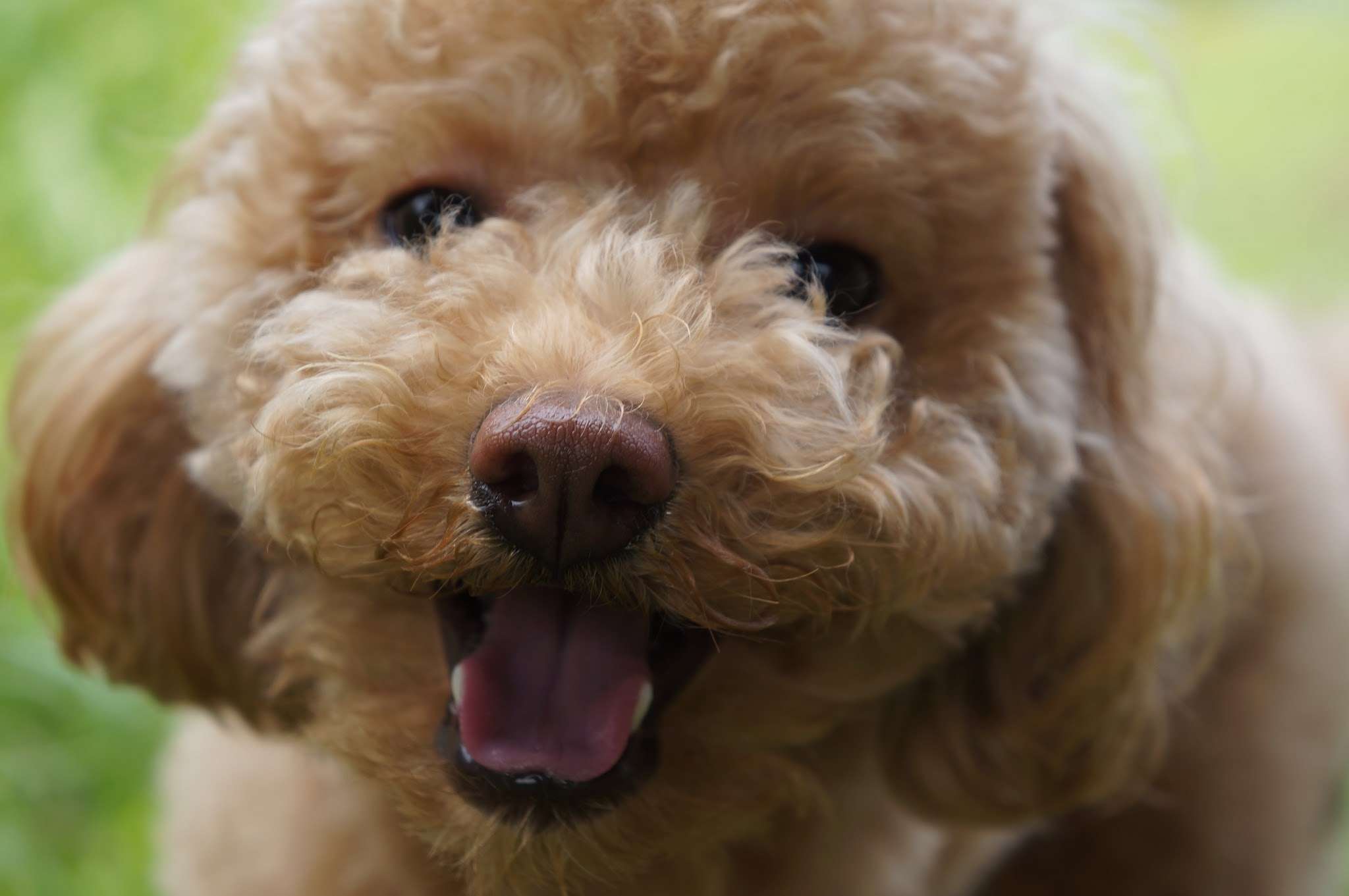 あなたのお気に入りの画像貼ってください！