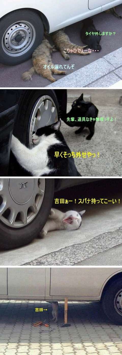 あなたのお気に入りの画像貼ってください！