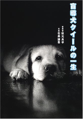 絶対に読んだほうが良い小説