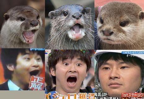 有名人を物や動物に例えてみたら？
