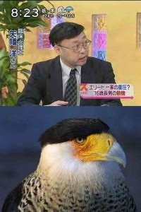 有名人を物や動物に例えてみたら？