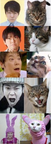 有名人を物や動物に例えてみたら？