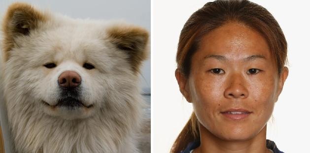 有名人を物や動物に例えてみたら？
